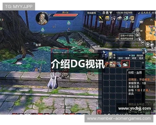 dg视讯游戏网址2024最新入口全面解析玩家必备指南